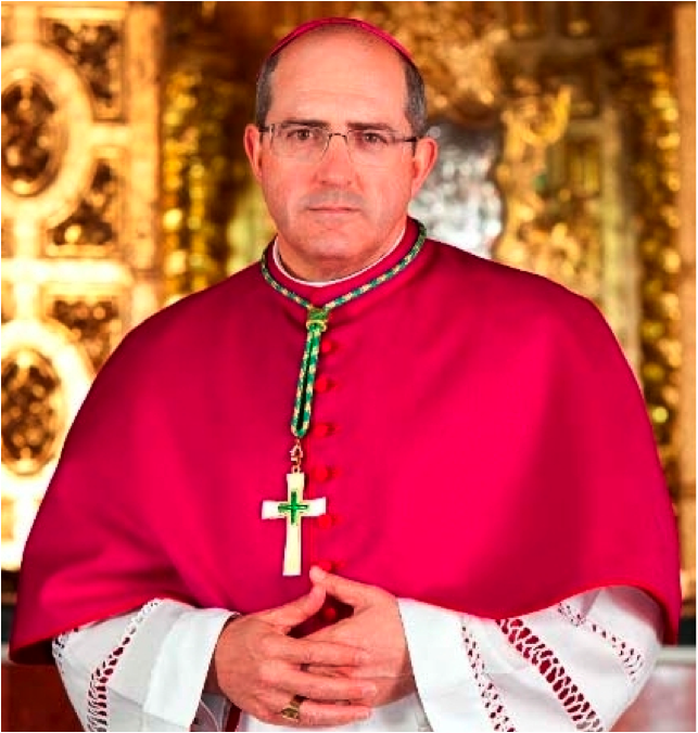 Excmo. y Rvdmo. Sr. D. Santiago Gómez Sierra, Obispo Titular de Vergi y Auxiliar de la Archidiócesis de  Sevilla