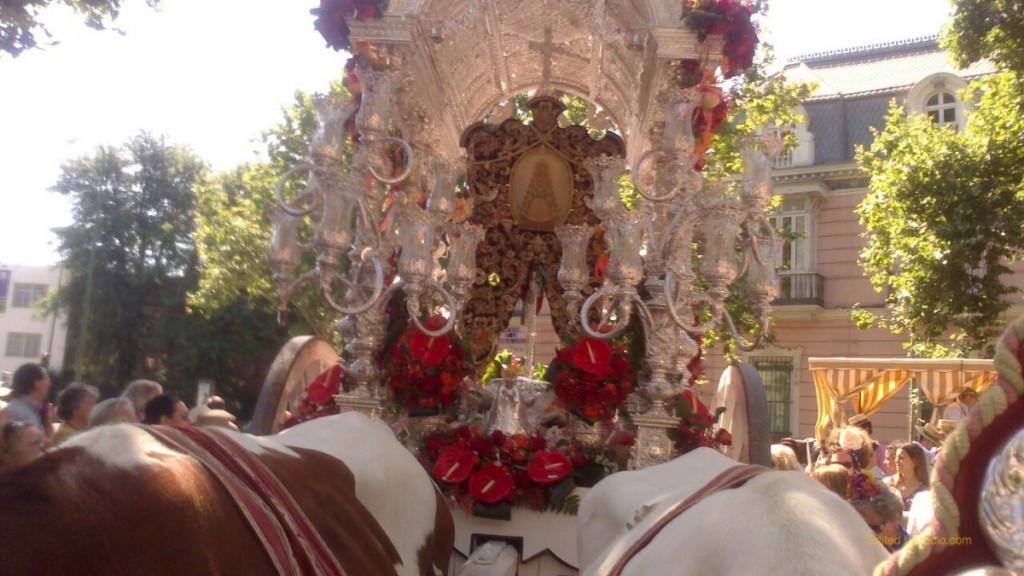 Salida Cerro 2015-IMG_3741