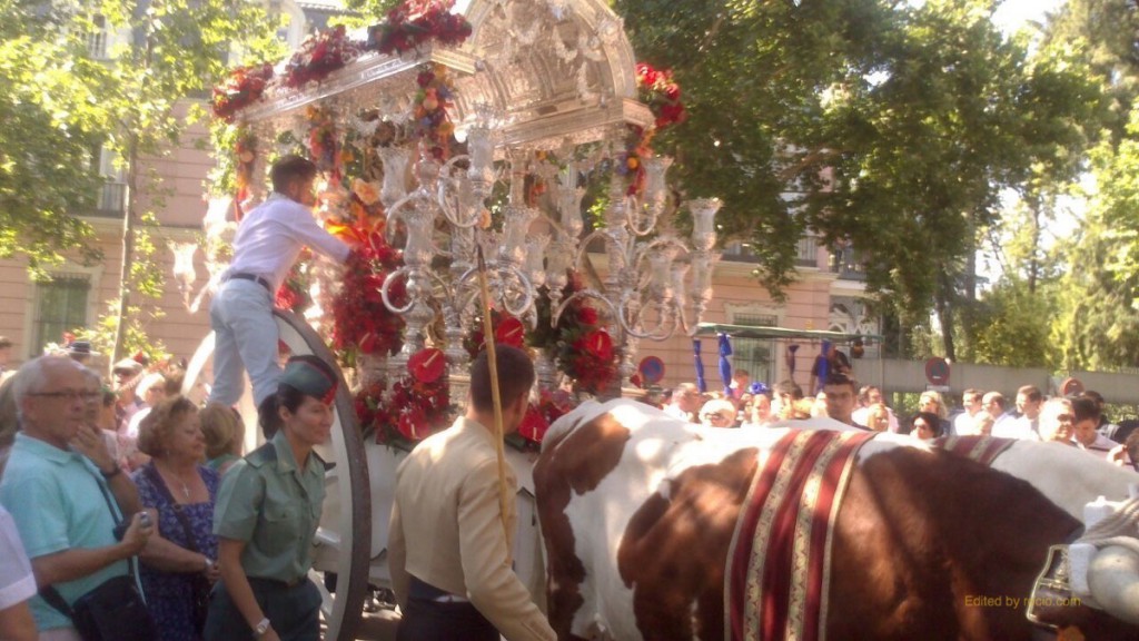 Salida Cerro 2015-IMG_3742