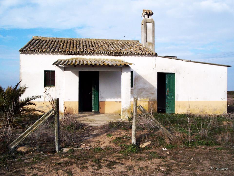 Casas de Doñana: El Raposo