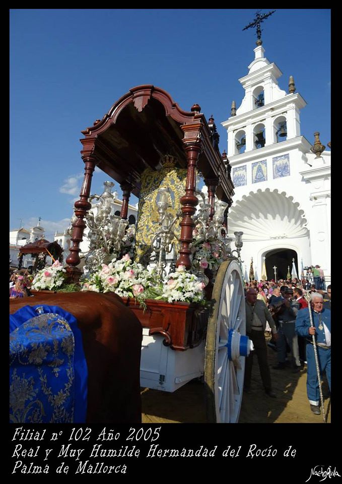 palma-palma-de-mallorca