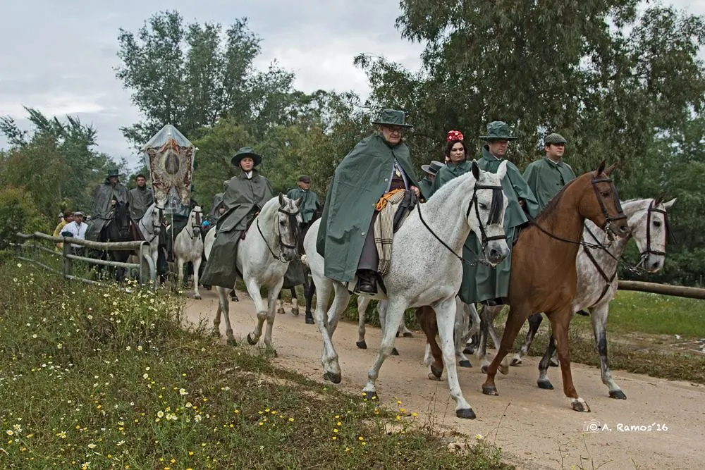 Matriz al rocio 2016-6