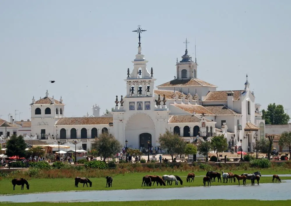5015-el-mundo-del-rocio-32