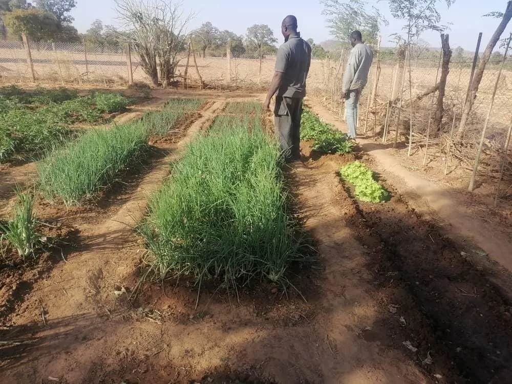 Ofrenda foro del Rocio 2019 Pozo agua en Mali-17
