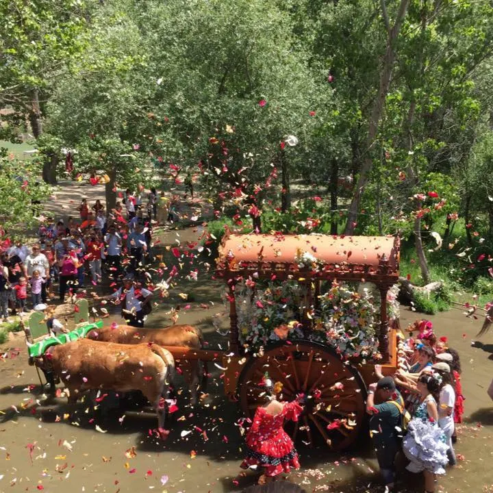 San Sebastian de los Reyes carreta