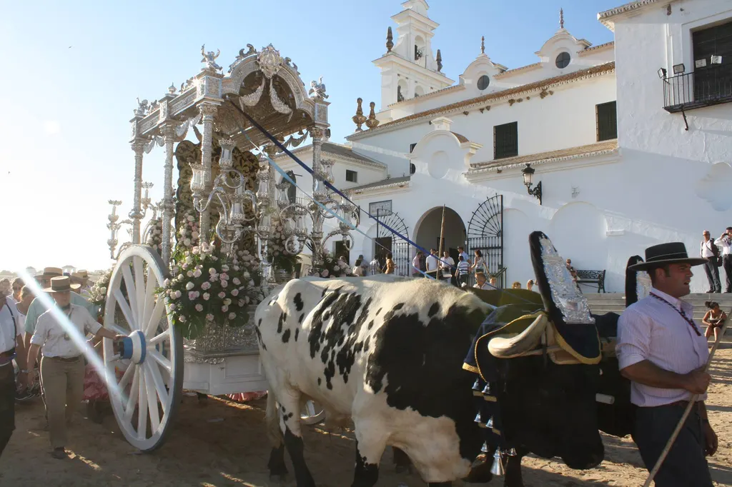 marbella-4