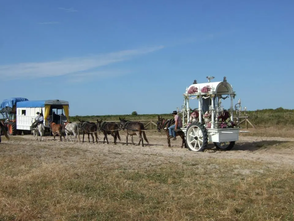rota-4