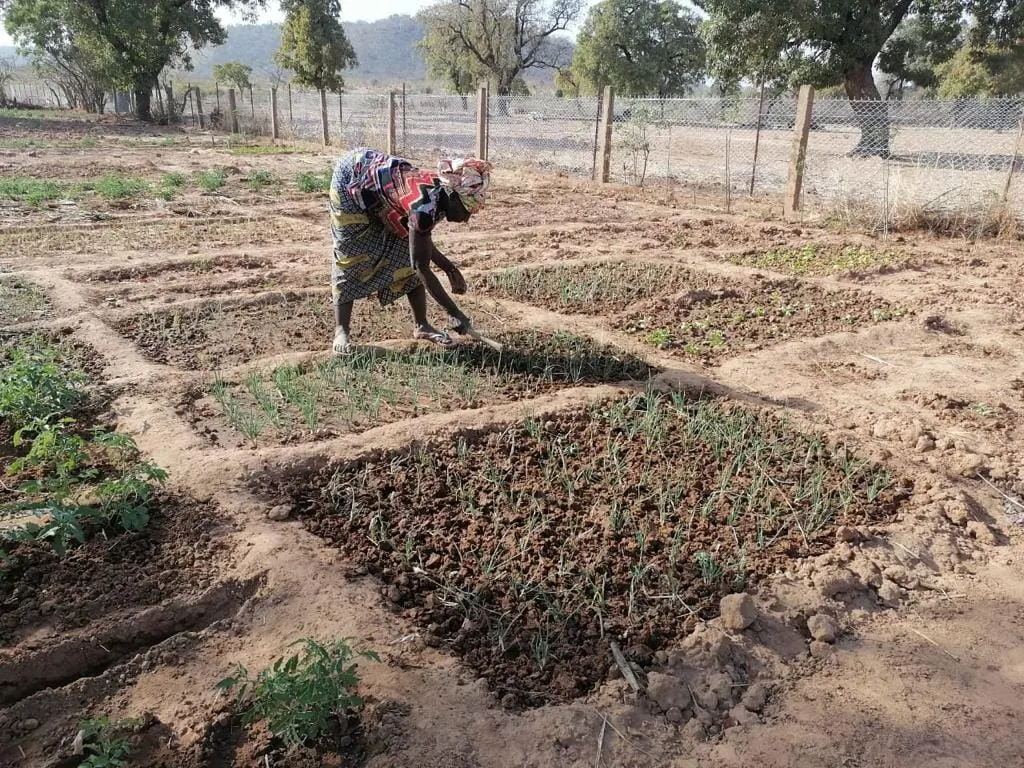 Ofrenda foro del Rocio 2019 Pozo agua en Mali-11