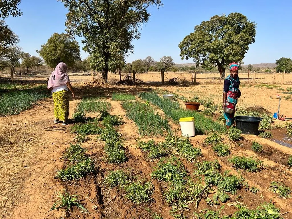 Ofrenda foro del Rocio 2019 Pozo agua en Mali-20