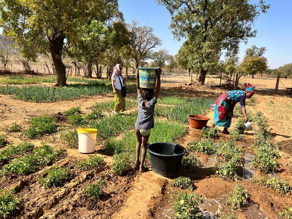 Ofrenda foro del Rocio 2019 Pozo agua en Mali-27