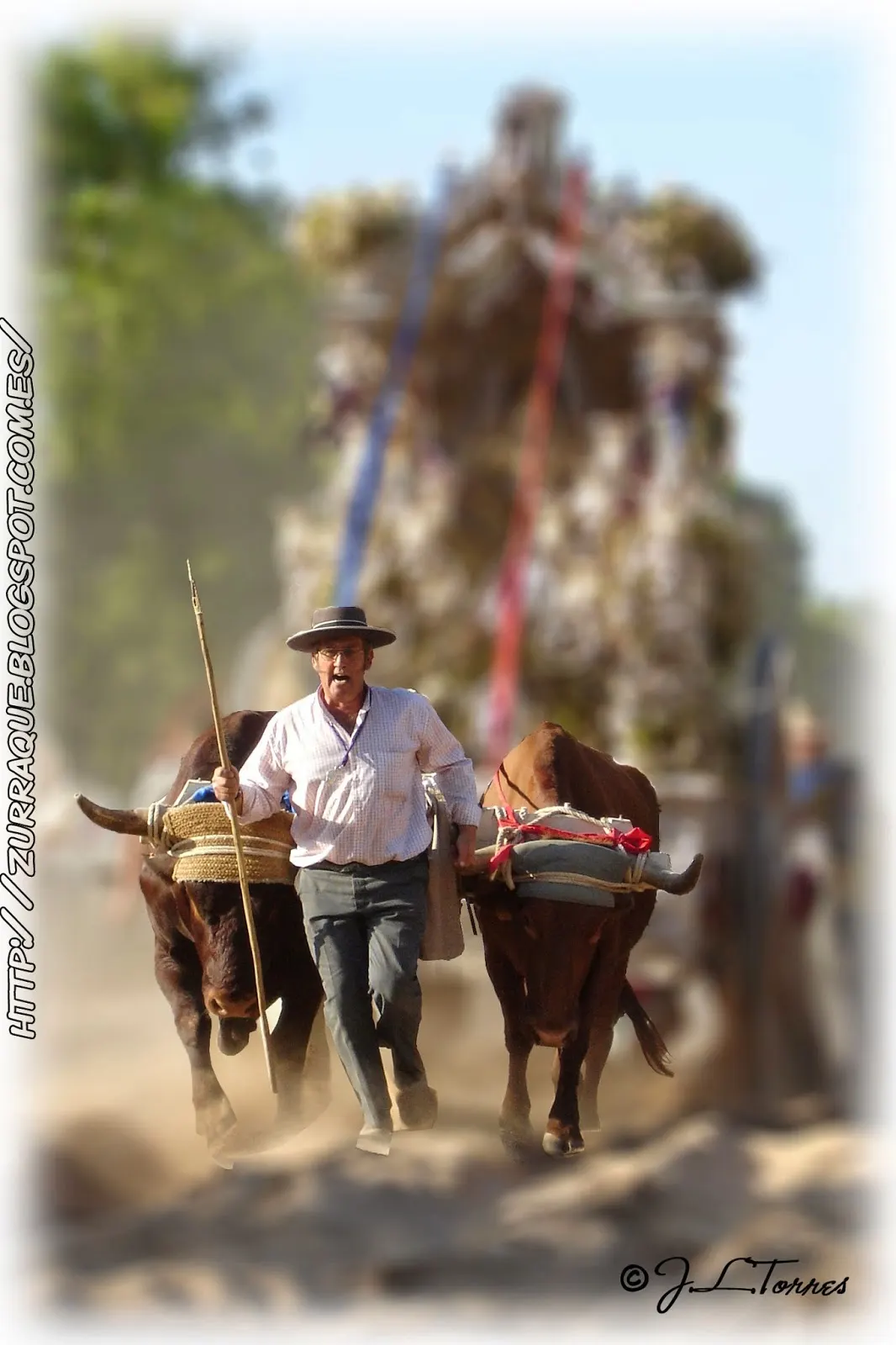 Jose Luis Torres - galeria -rocio.com-31