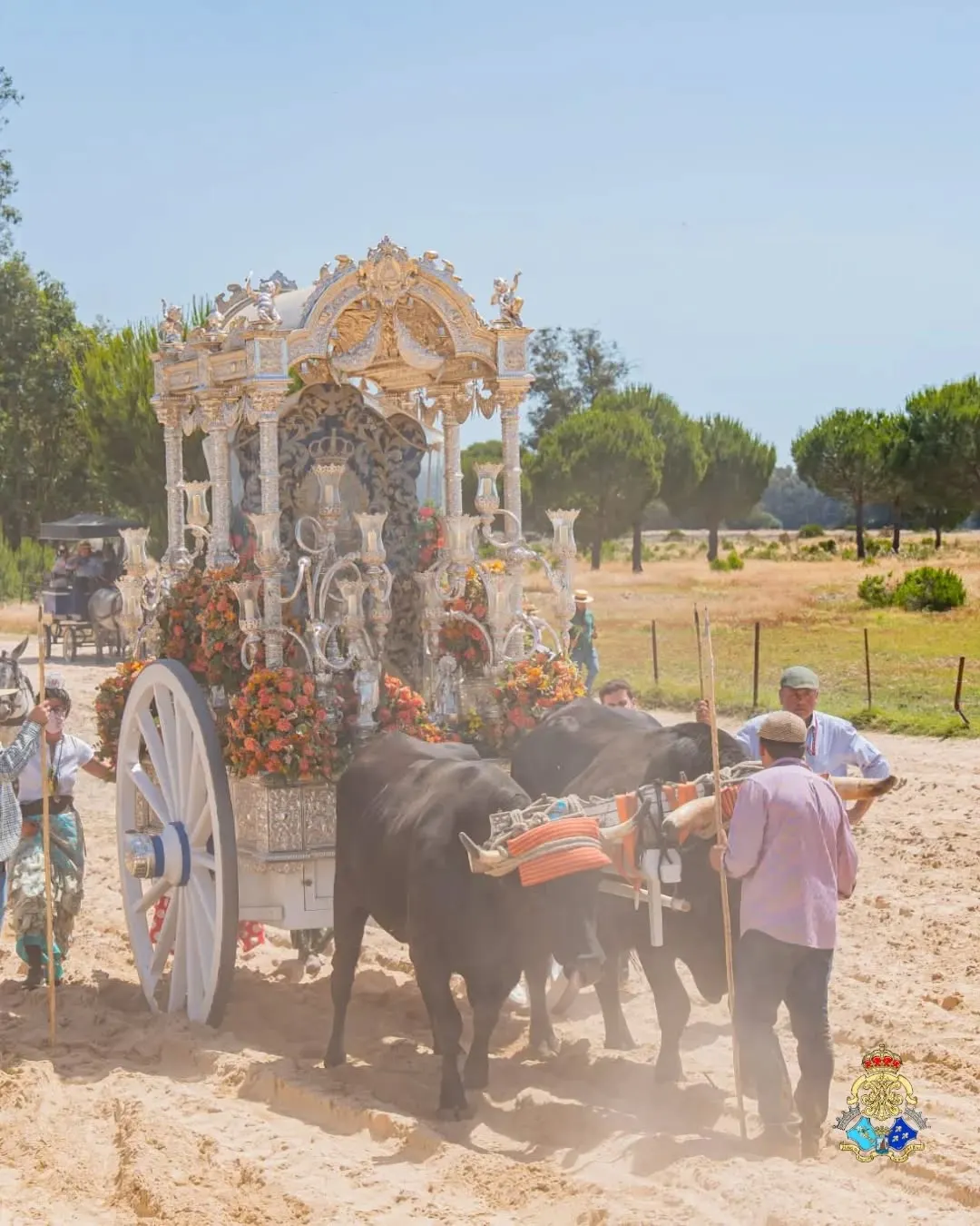Momentos del Camino Rocio 2026-00201