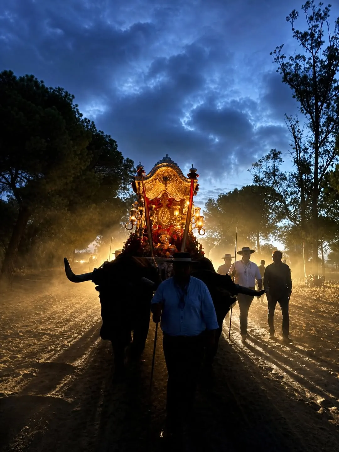 Momentos del Camino Rocio 2026-00185