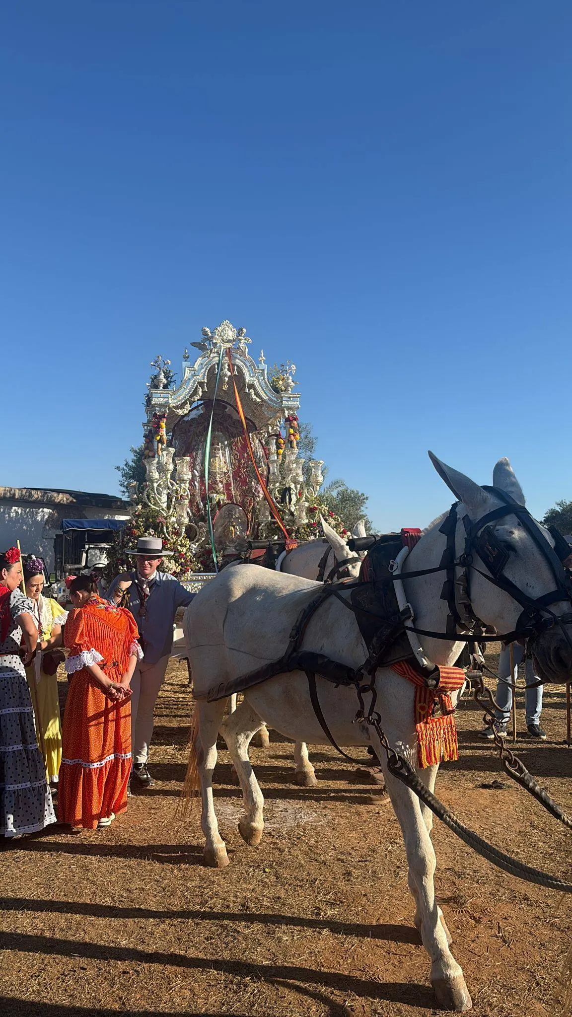 Momentos del Camino Rocio 2026-00123