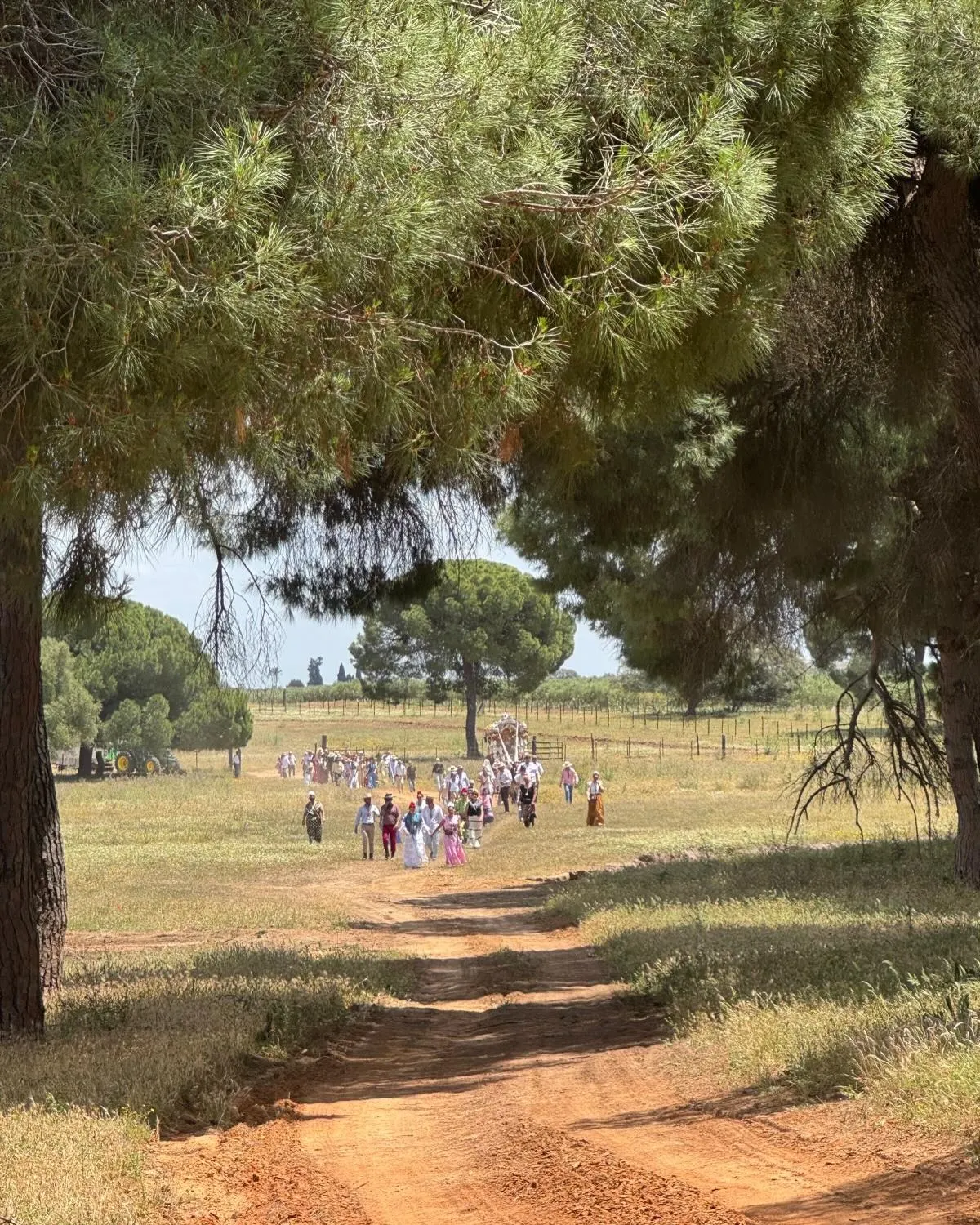 Momentos del Camino Rocio 2026-00133