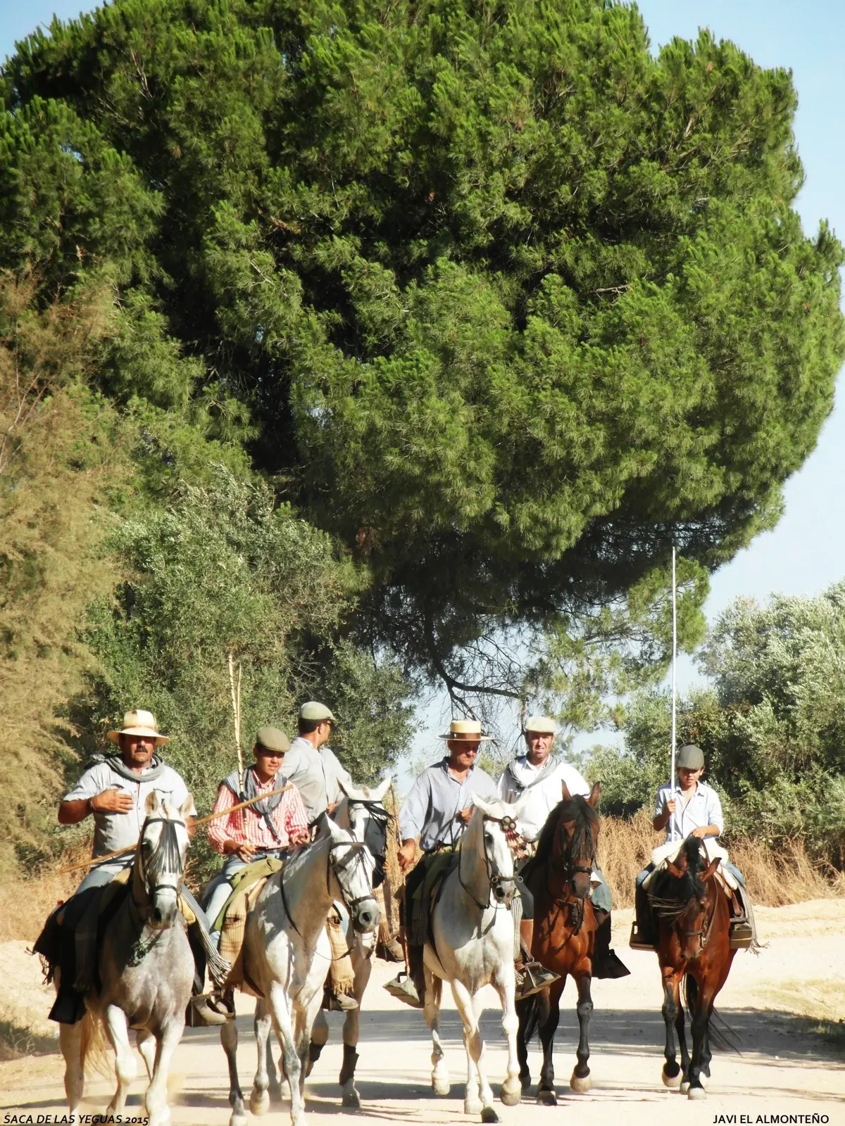 Javier coronel Saca Yeguas 2015-SAM_6687