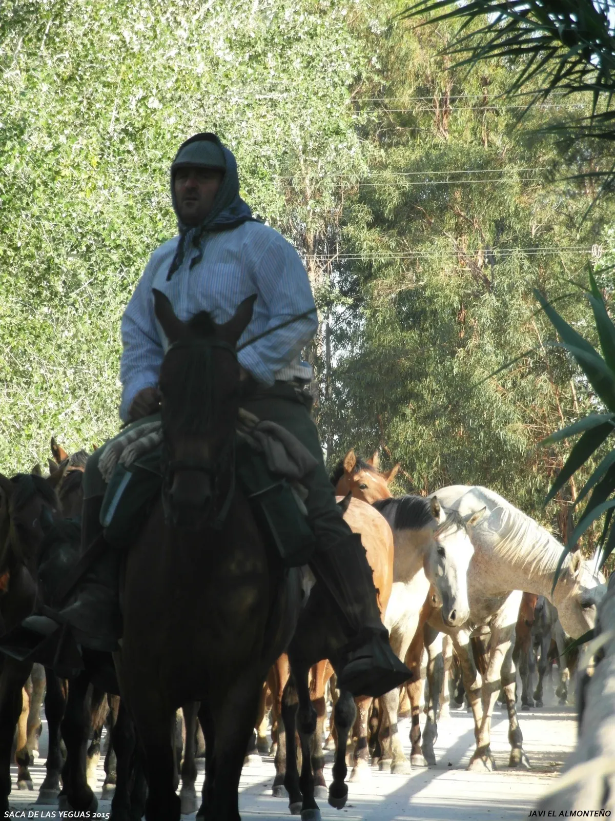 Javier coronel Saca Yeguas 2015-SAM_6771