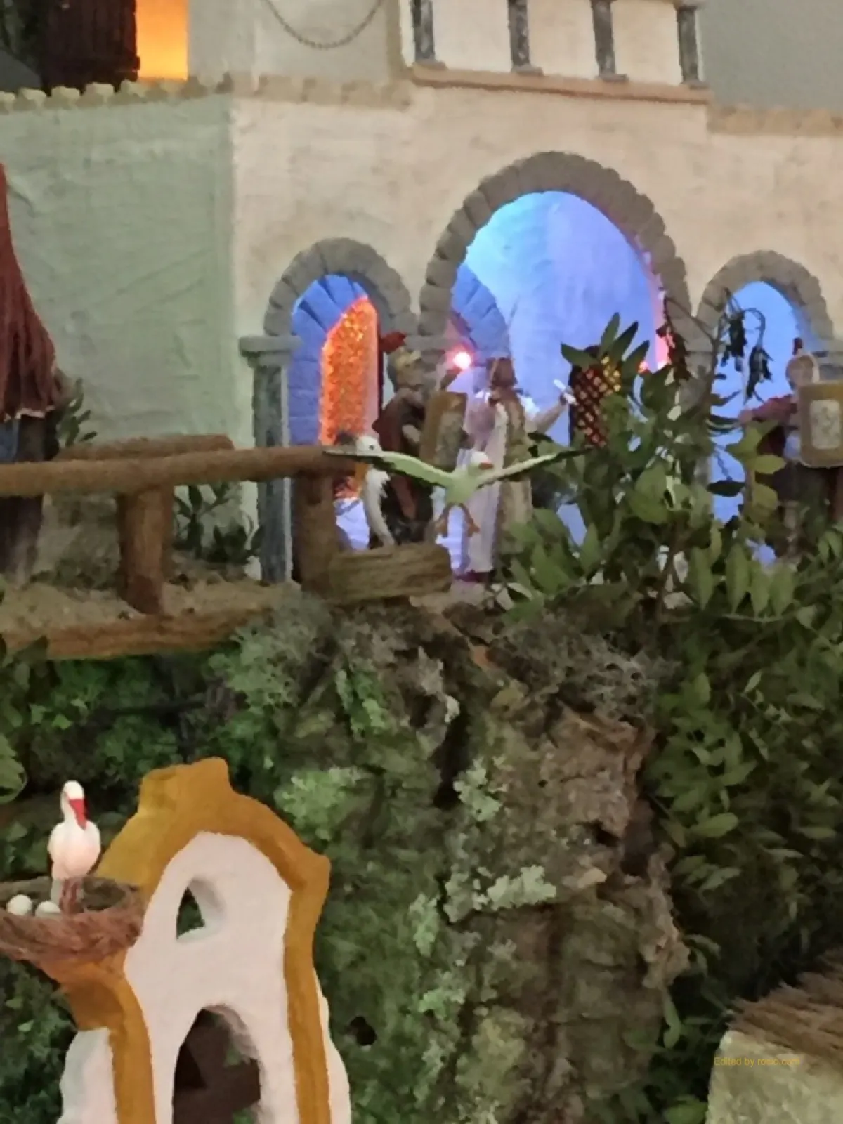 belen Triana 2015 - Vicente Ruiz-5209_1024