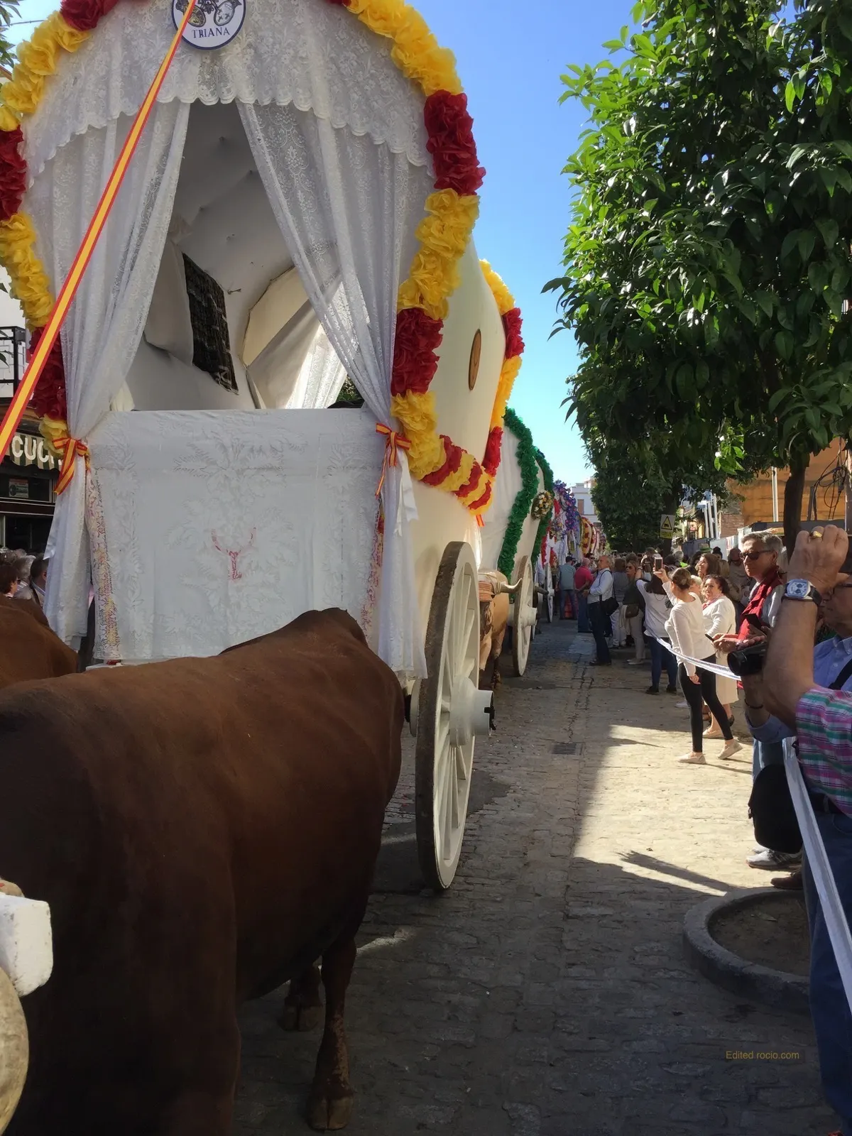 Salida-Triana-2018-IMG_2099