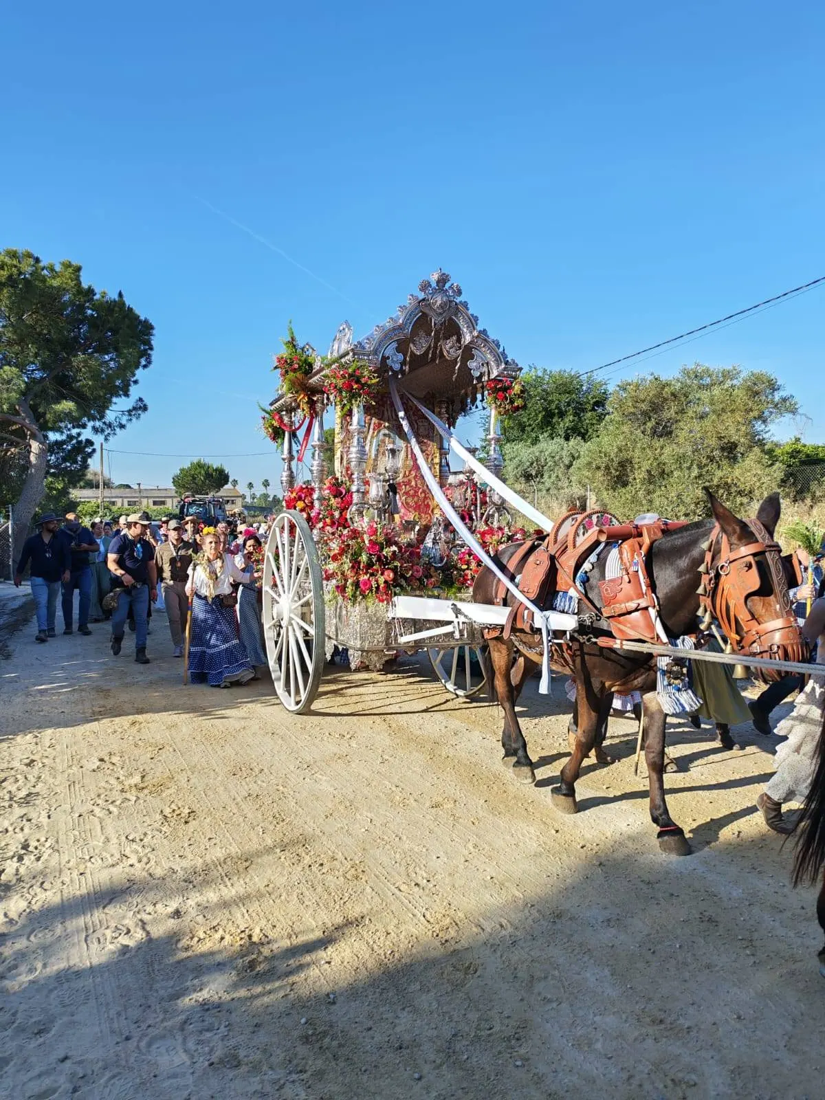Momentos del Camino Rocio 2026-00040