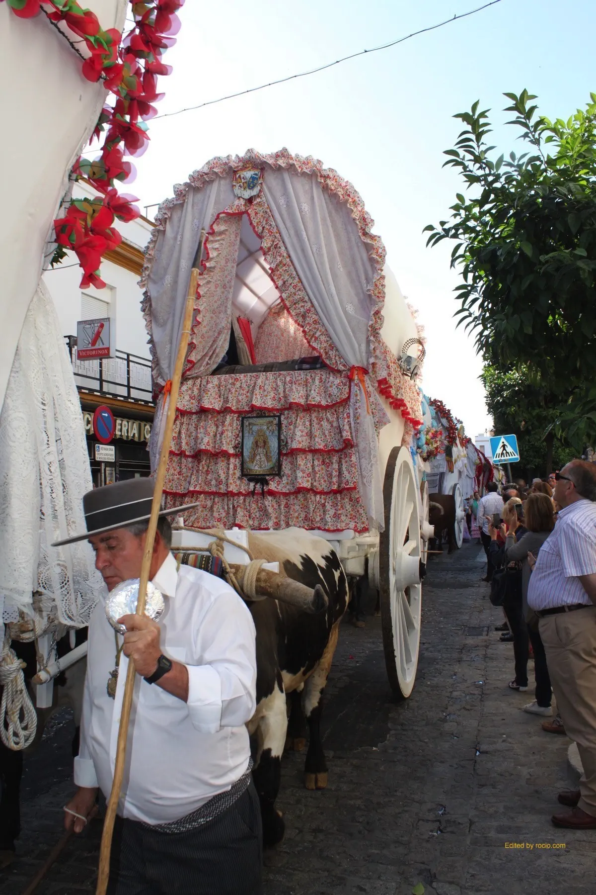 Salida triana 2015-IMG_2859