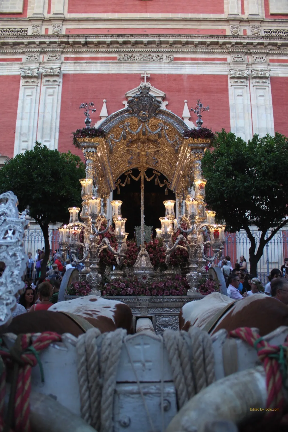 Sevllla Salvador rocio entrada 2015-3064