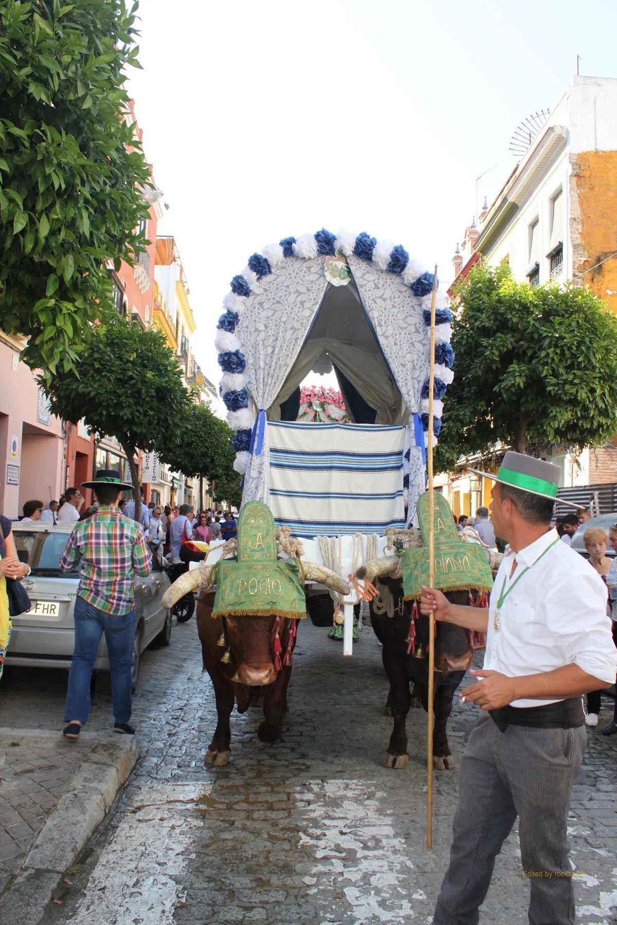 Salida Triana 2017-IMG_0880