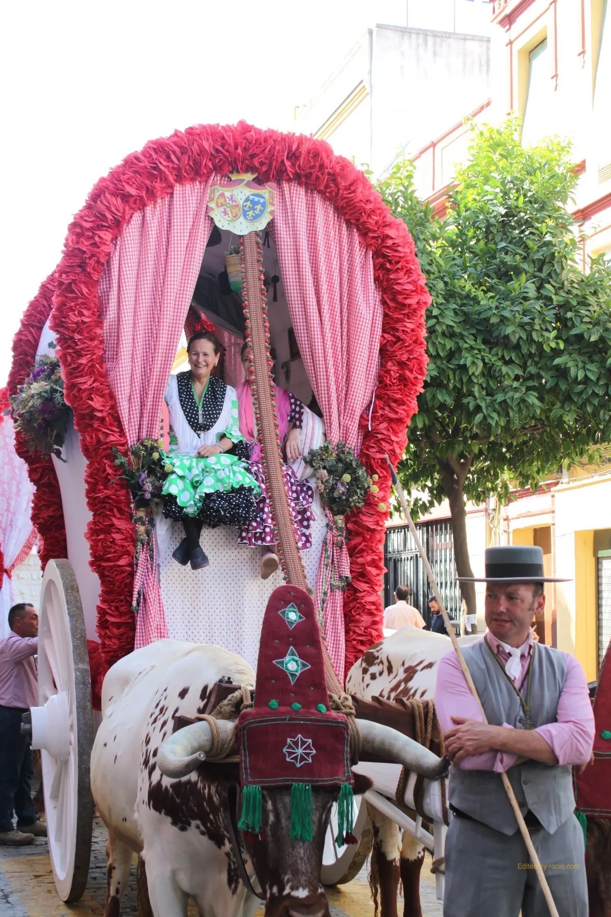 Salida Triana 2017-IMG_0889