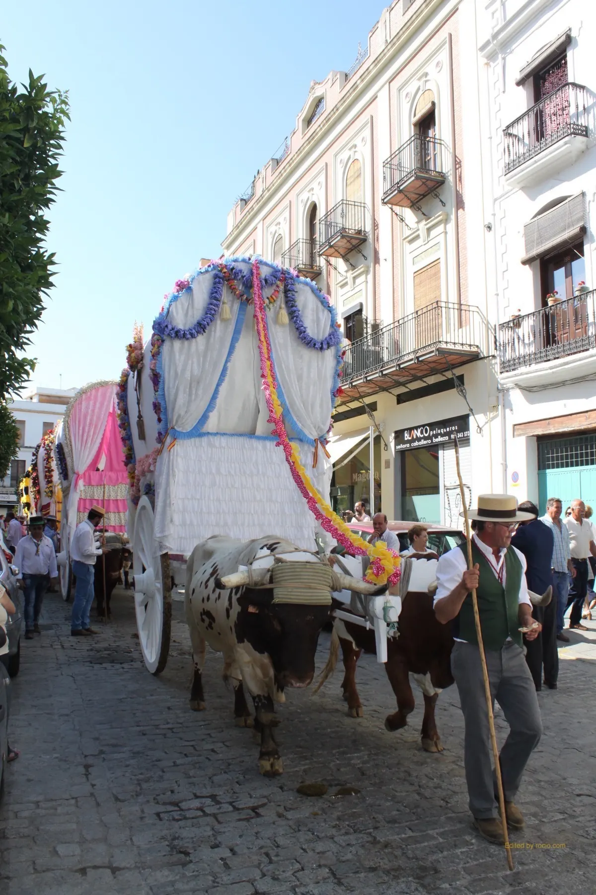 Salida Triana 2017-IMG_0894