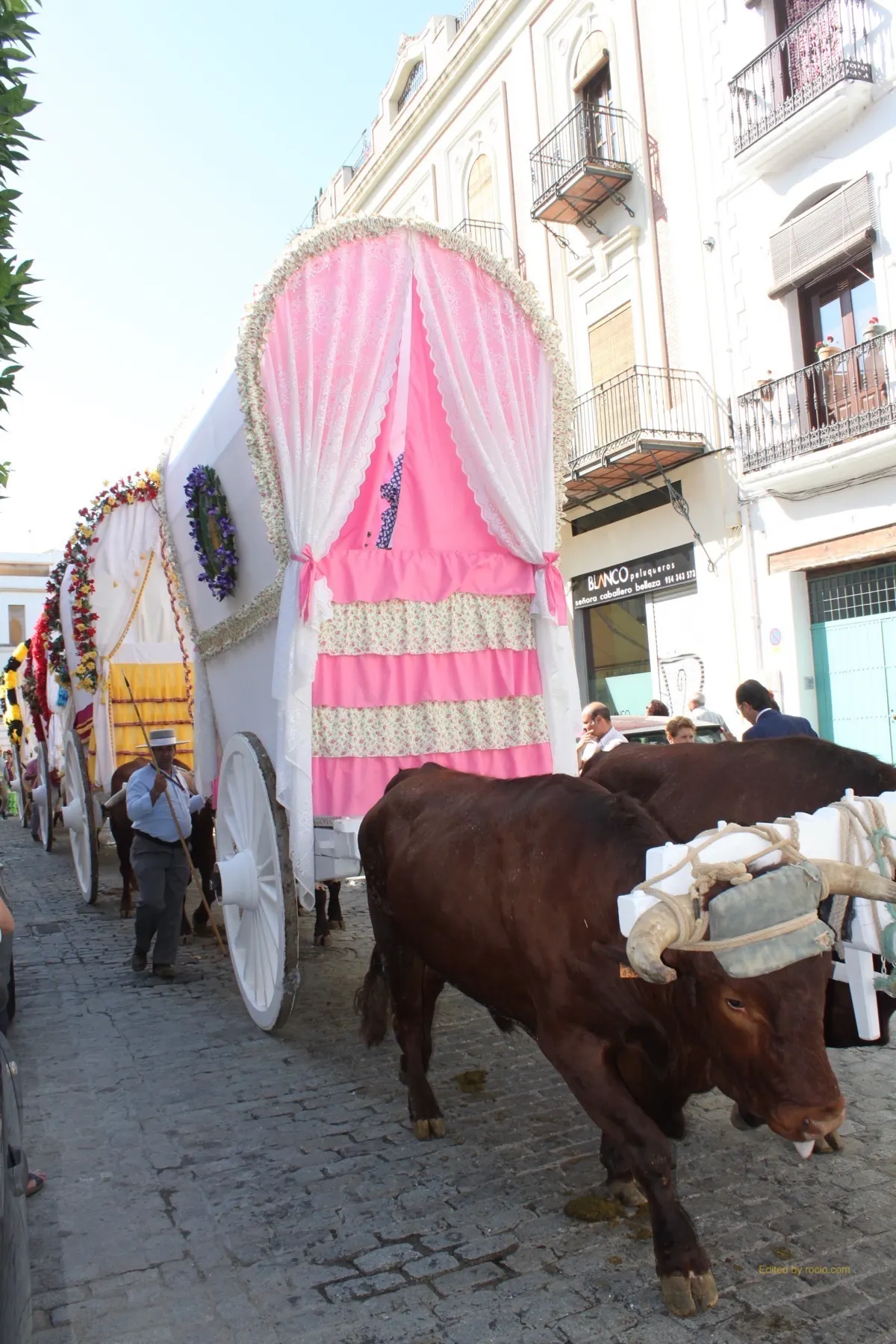 Salida Triana 2017-IMG_0895