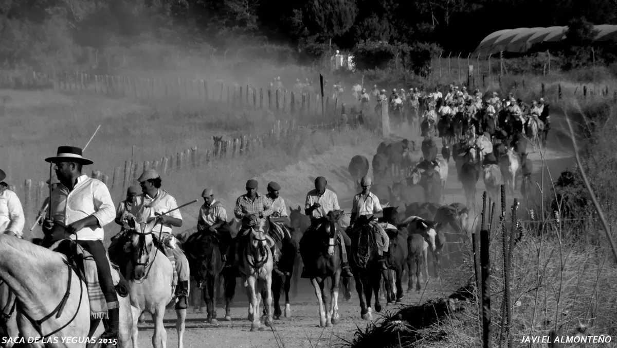 Javier coronel Saca Yeguas 2015-SAM_6823