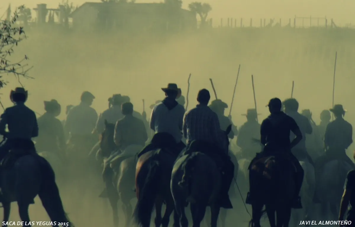 Javier coronel Saca Yeguas 2015-SAM_6801