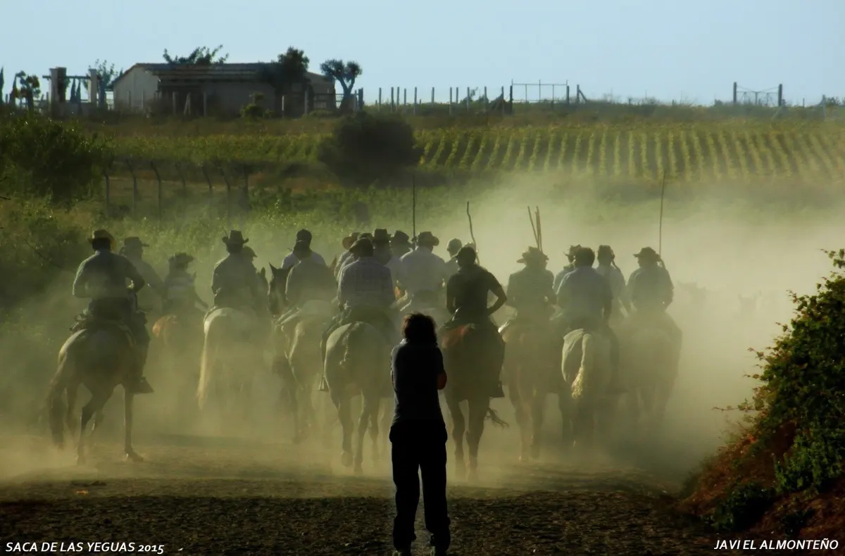 Javier coronel Saca Yeguas 2015-SAM_6804