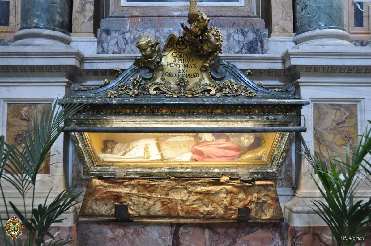 5119-matriz-papa-sta.-maria-9