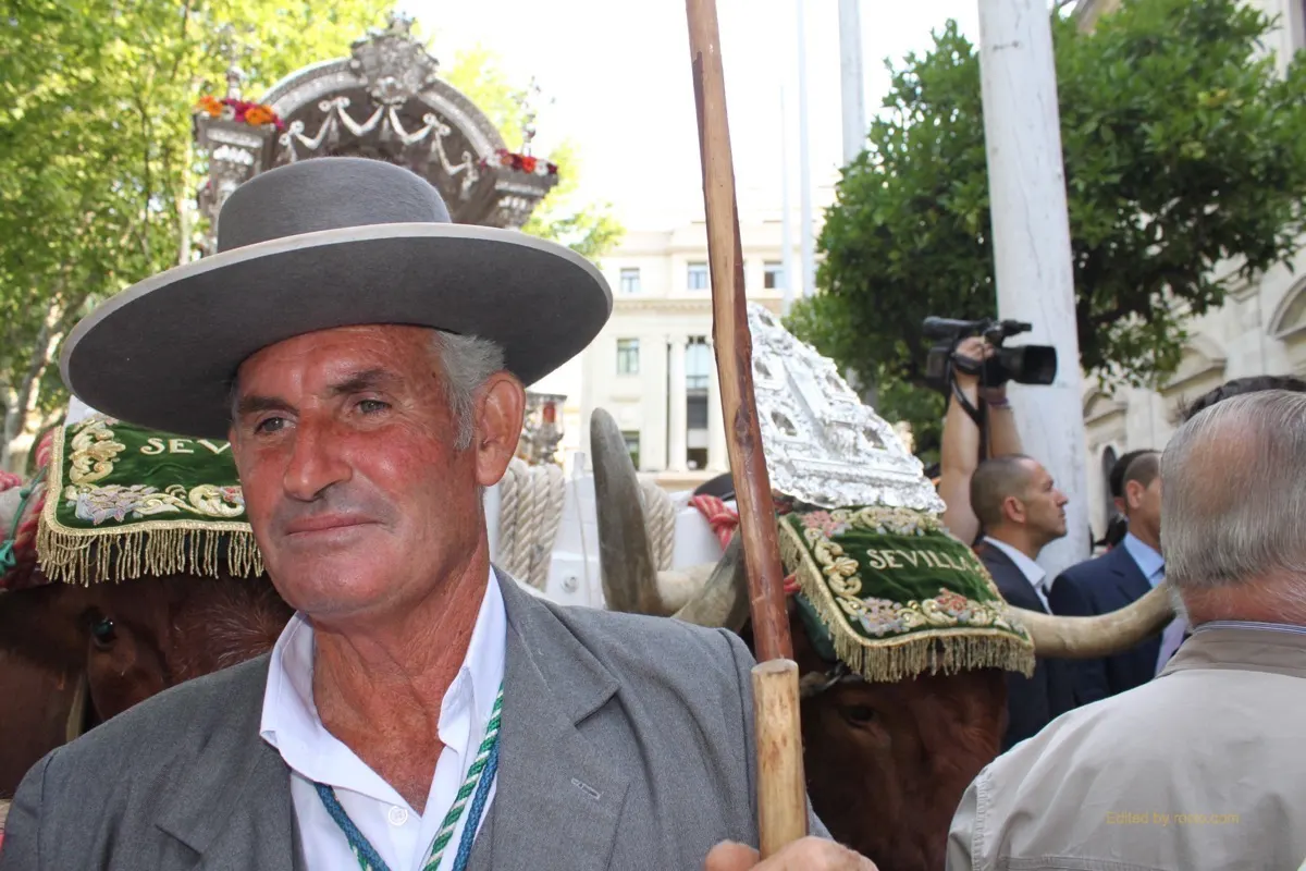 Salida Rocio Sevilla 2015IMG_2922