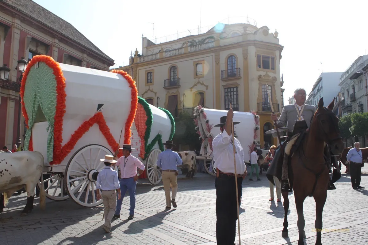Salida Rocio Sevilla 2015IMG_2941