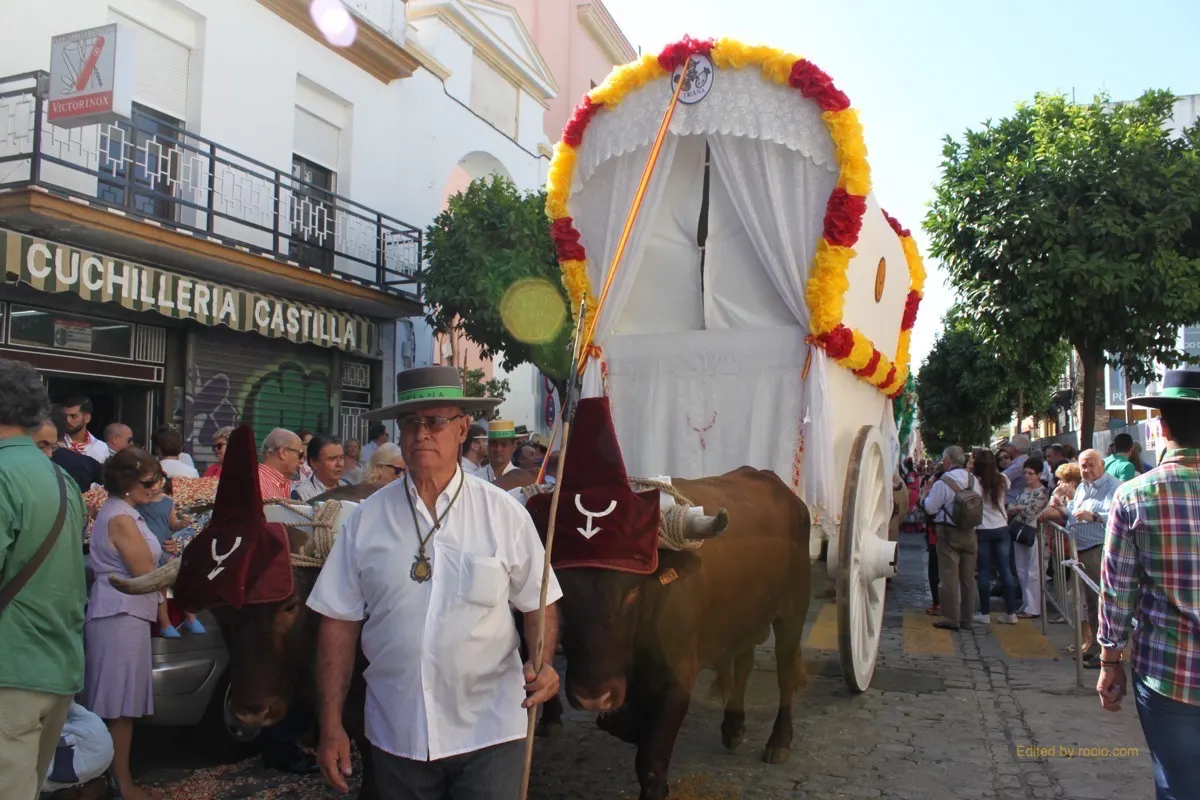 Salida Triana 2017-IMG_0878