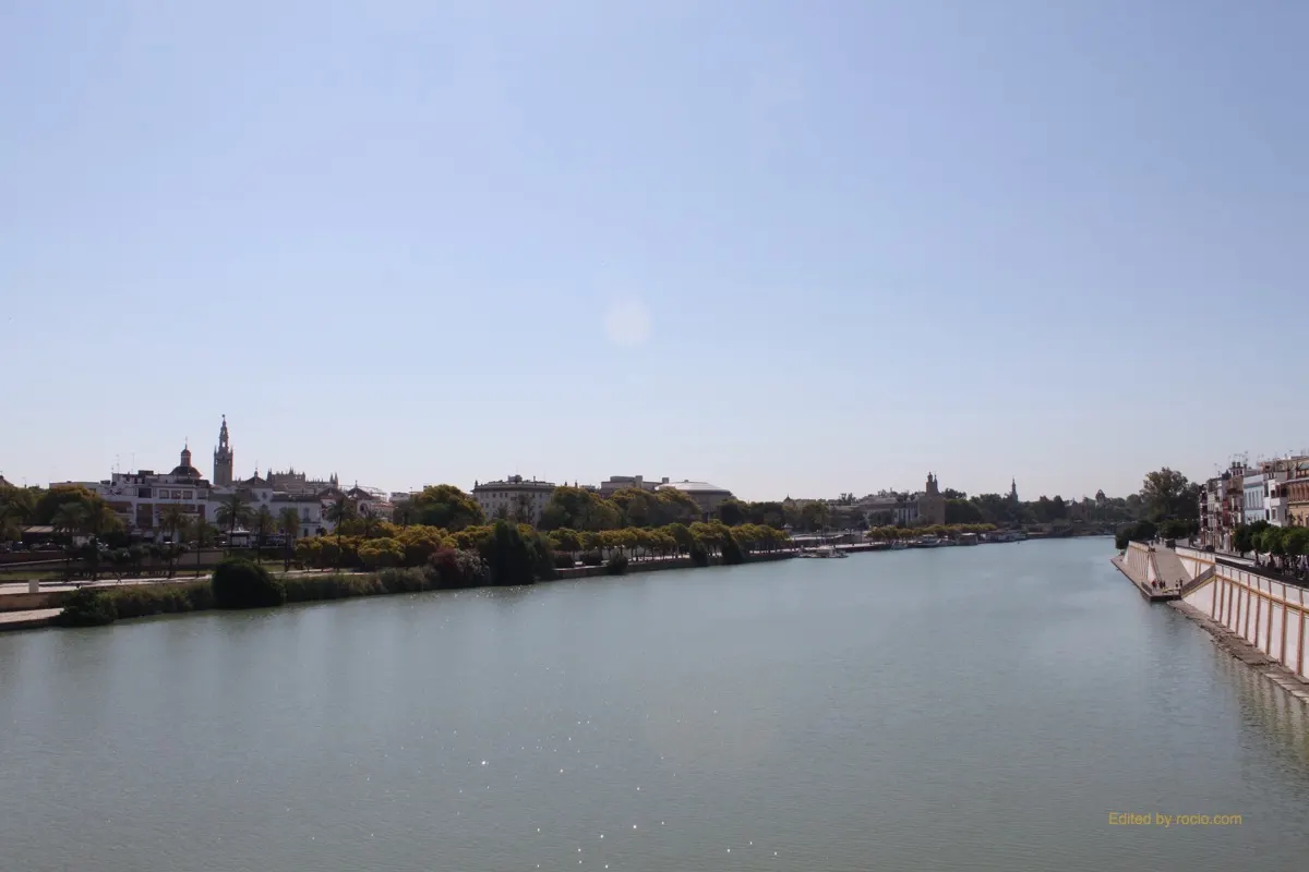Salida Triana 2017-IMG_0899