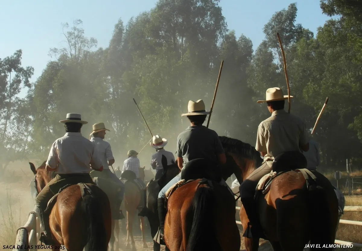 Javier coronel Saca Yeguas 2015-SAM_6759