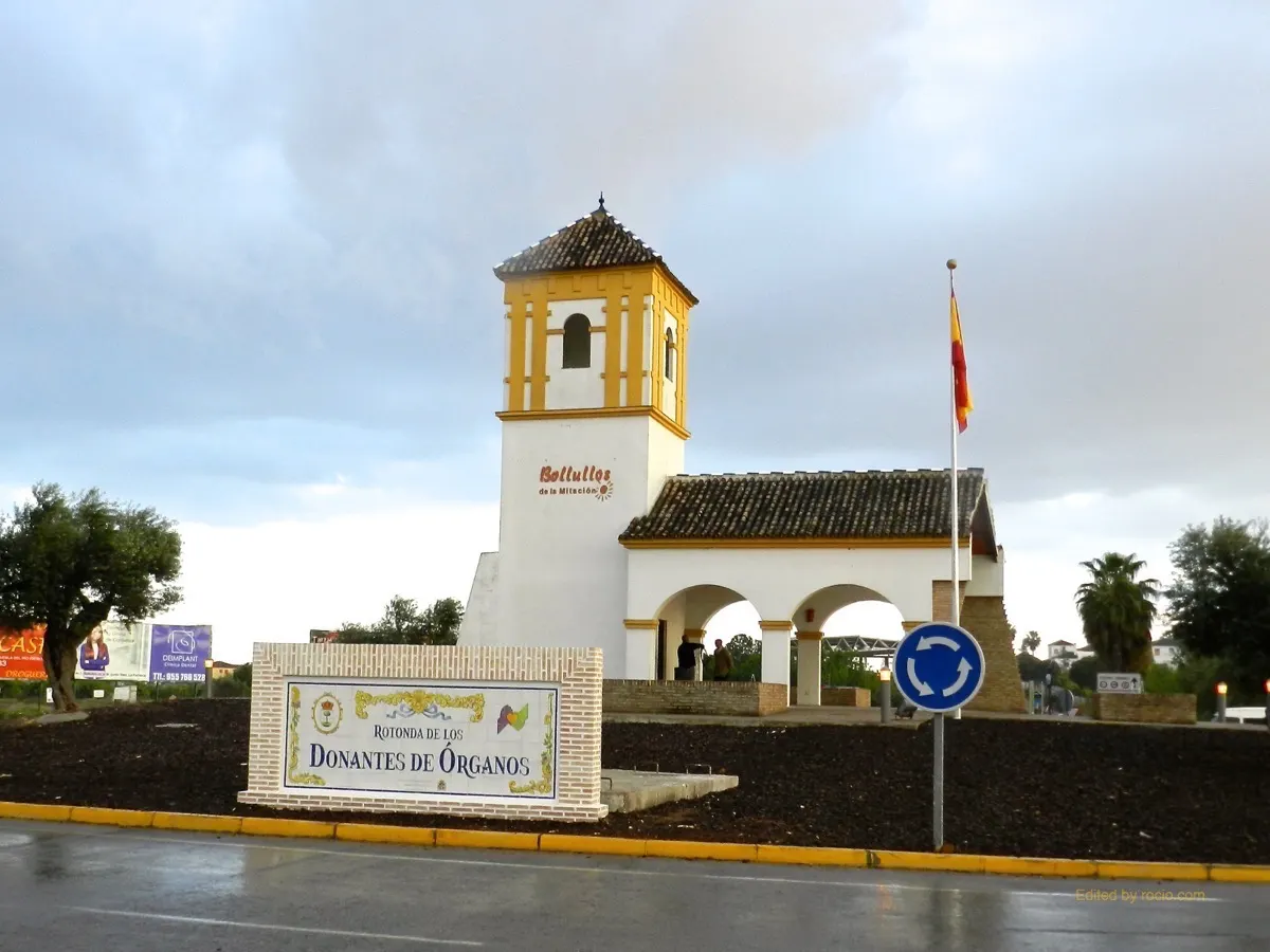 donantes organosDSCN9364