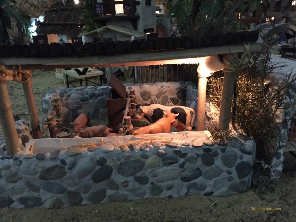 belen Triana 2015 - Vicente Ruiz-5196_1024