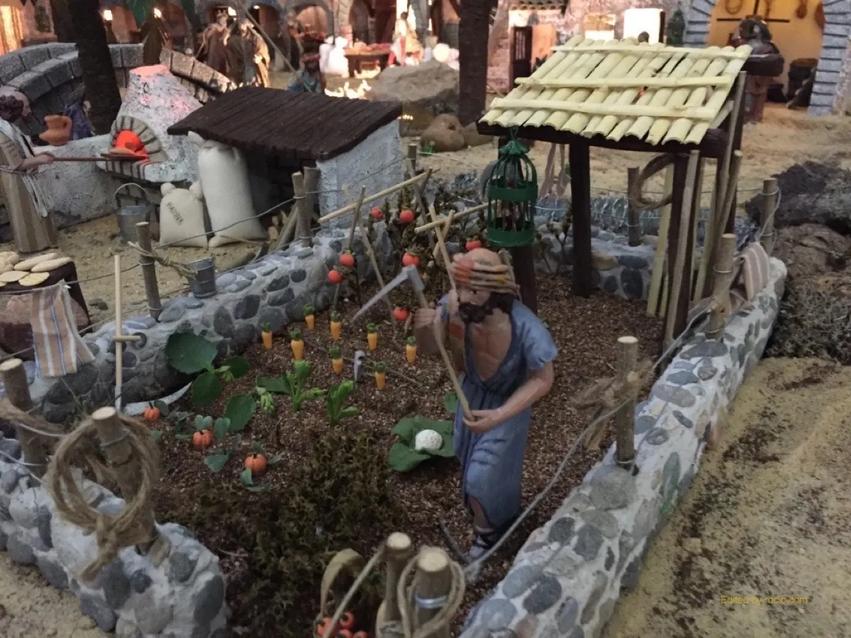 belen Triana 2015 - Vicente Ruiz-5199_1024