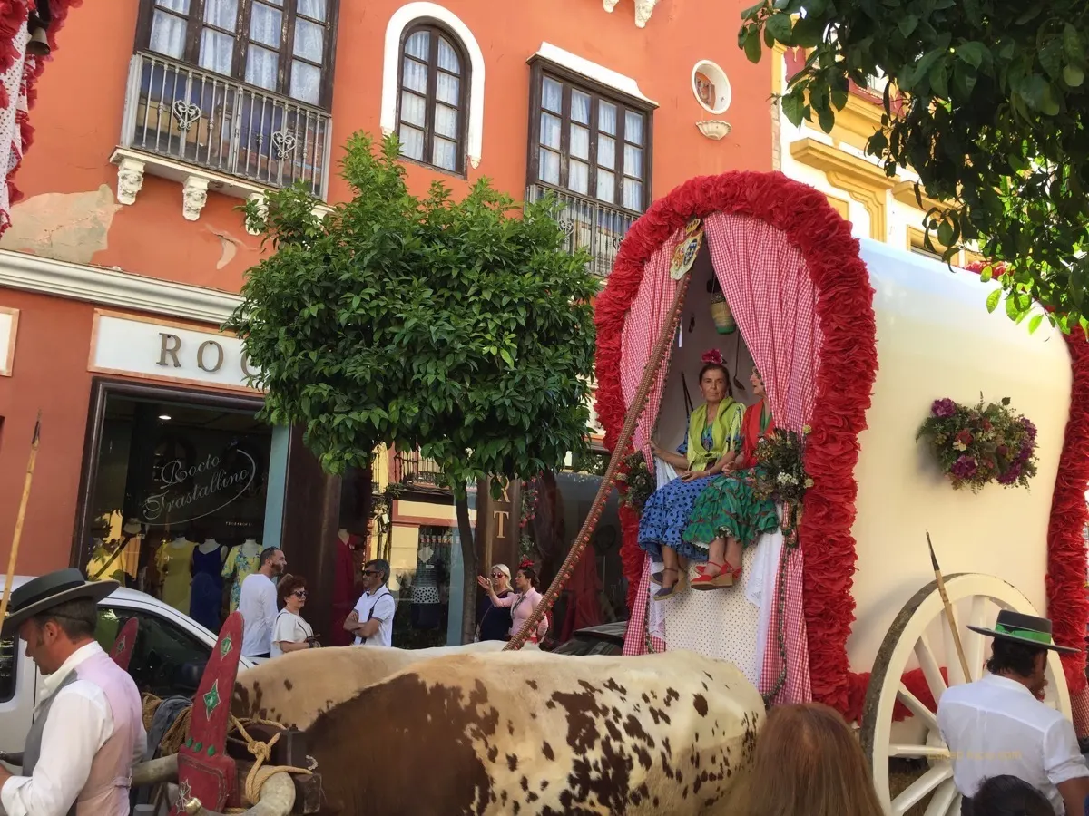 Salida-Triana-2018-IMG_2106