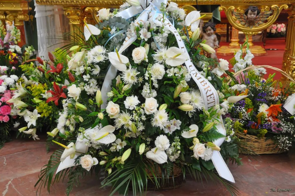 5135-misa-umbrete-15