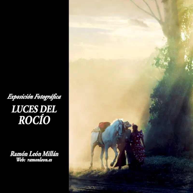 5209-luces-rocio-1.jpg