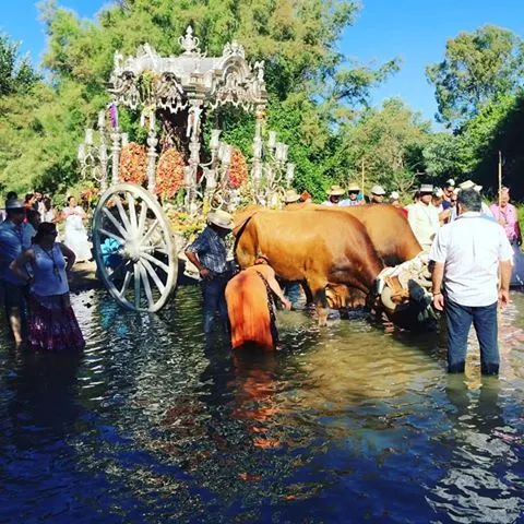 Malaga - Momentos Rocio 2017