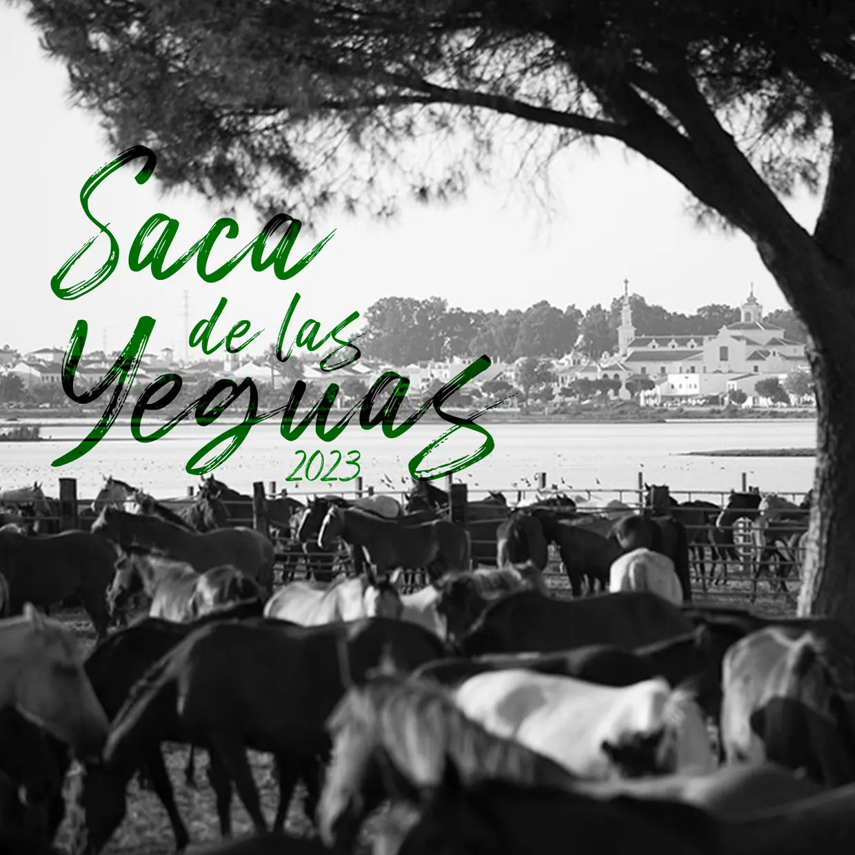 saca yeguas 2023