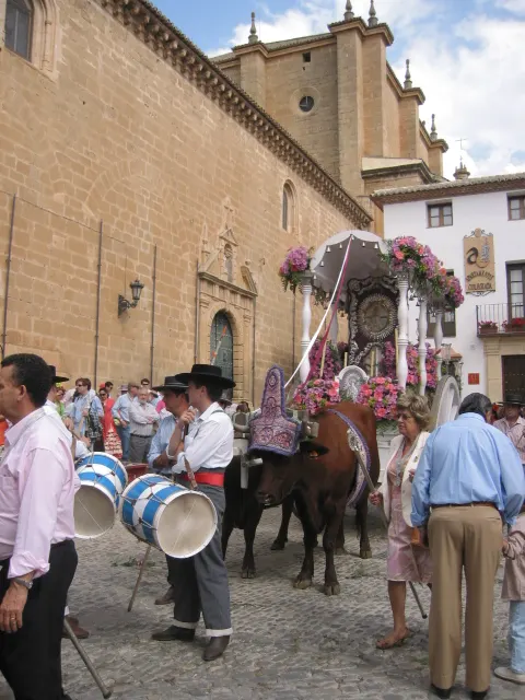 IMG_8785.jpg