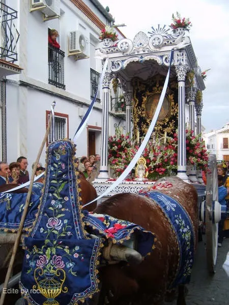1362-hinojos08.JPG