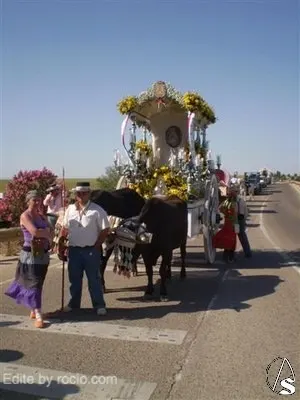2184-carmona.jpg